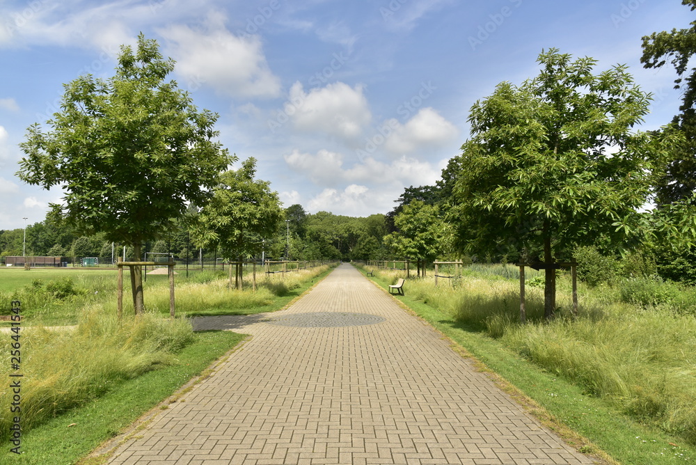 La route pavée principale entre deux rangées d'arbres au domaine provincial de Vrijbroekpark à Malines