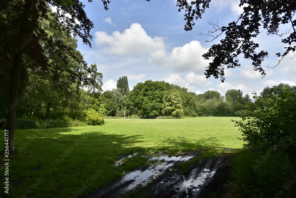 Flaques d'eau dans les traces de passage de véhicules devant le terrain de cricket au domaine provincial de Vrijbroekpark à Malines