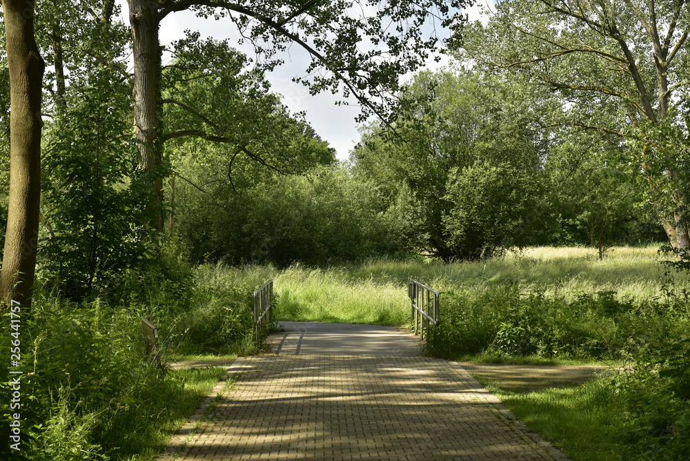 Obraz premium Route pavée stoppant brusquement après le petit pont devant une prairie au domaine provincial de Vrijbroekpark à Anvers