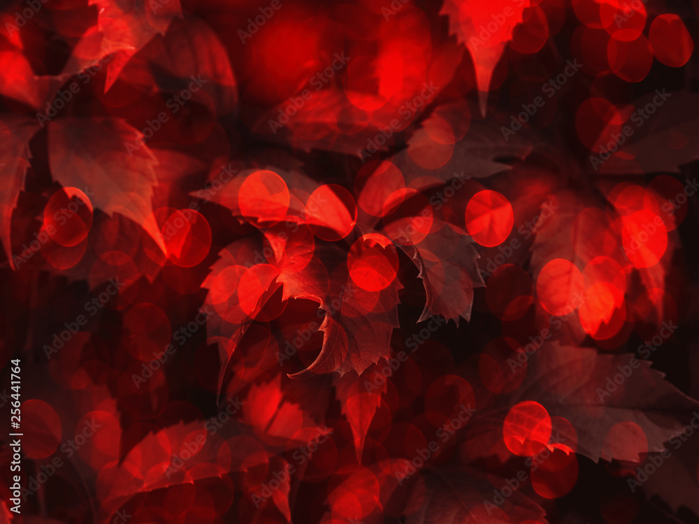 Red toned bokeh foliage trendy background