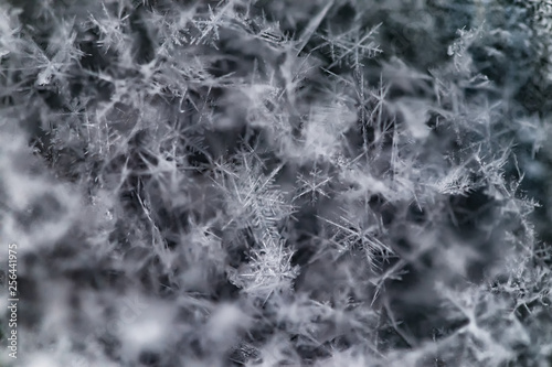 Layer of just fallen snowflakes