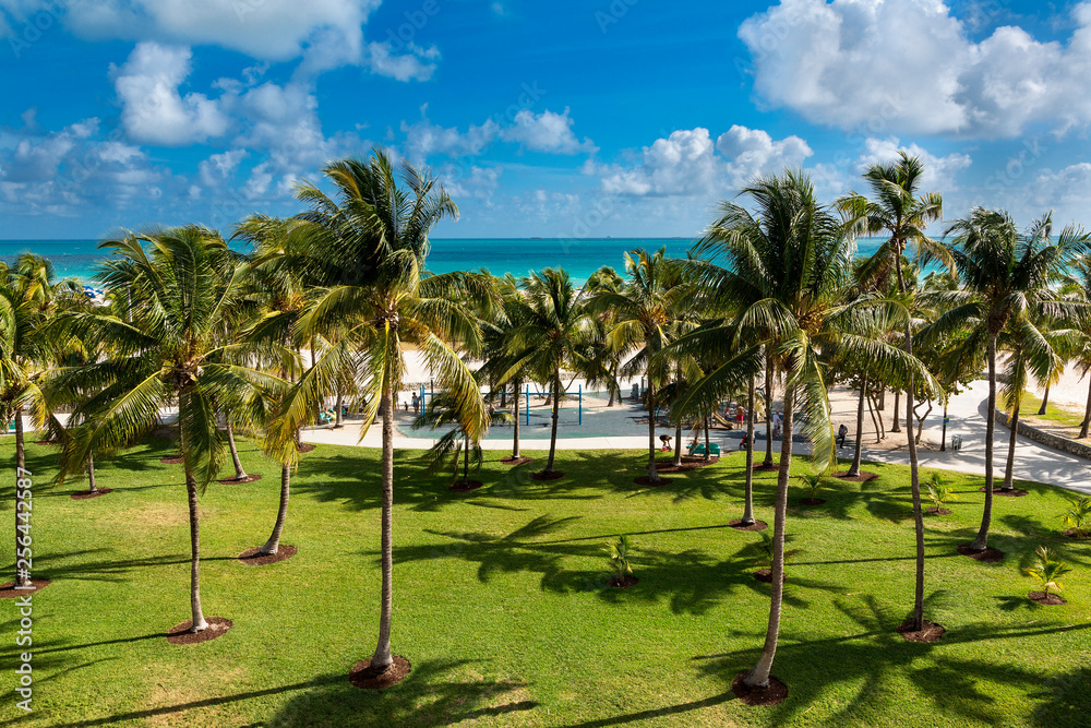 Fototapeta premium Miami, South Beach, Lummus Park