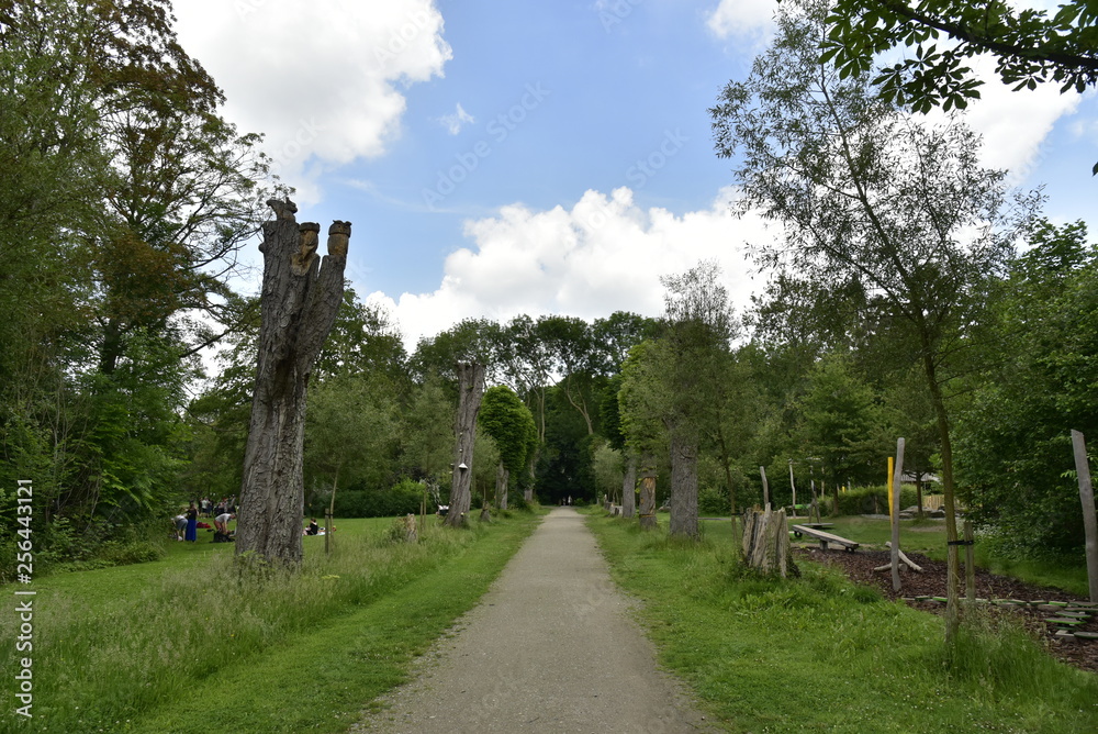 Le chemin aux troncs d'arbres taillés au domaine provincial de Vrijbroekpark à Malines