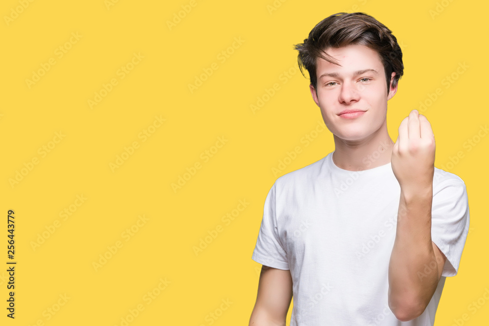 Young handsome man wearing casual white t-shirt over isolated background Doing Italian gesture with hand and fingers confident expression Young handsome man wearing casual white t-shirt over isolated background Doing Italian gesture with hand and fingers confident expression