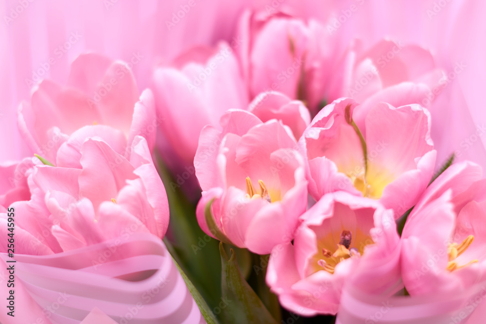 Obraz premium Blooming Tulip Flower. Bouquet of pink tulips