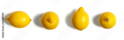 Cytryna na białym tle