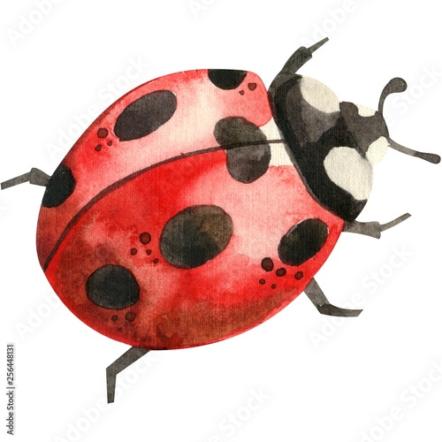 Watercolor pattern cute red ladybug, insects in watercolor technique is perfect for printing fabrics, Wallpaper, paper, etc-Illustration