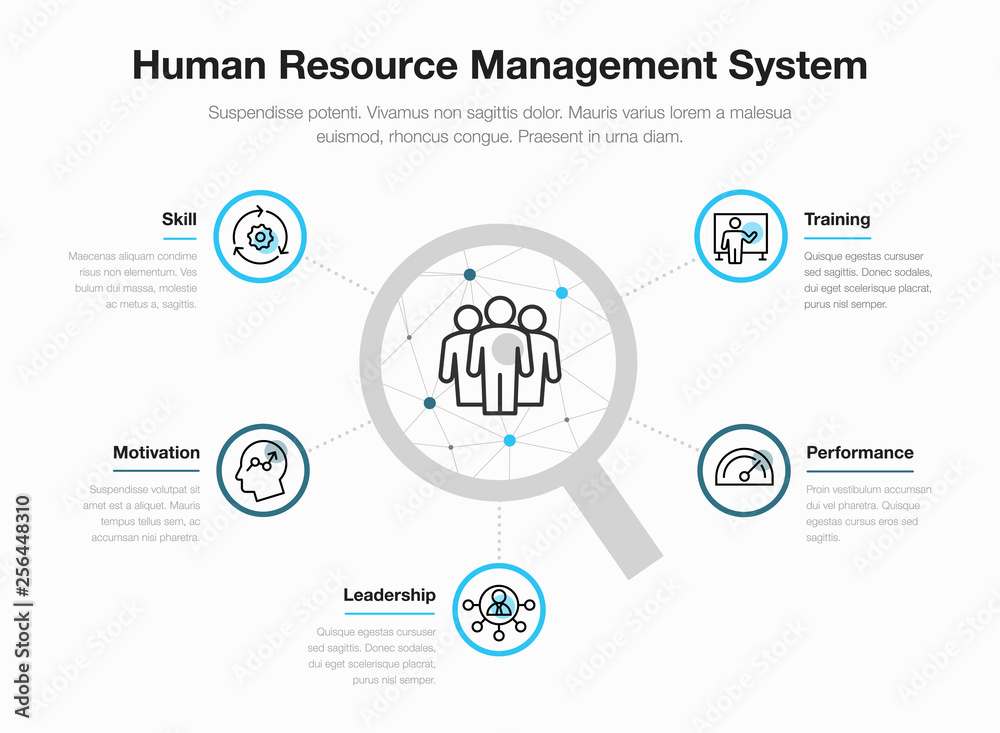 Simple vector infographic for human resource management system with ...