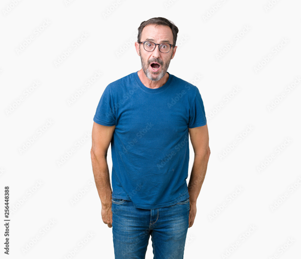 Handsome middle age hoary senior man wearin glasses over isolated background afraid and shocked with surprise expression, fear and excited face. Handsome middle age hoary senior man wearin glasses over isolated background afraid and shocked with surprise expression, fear and excited face.