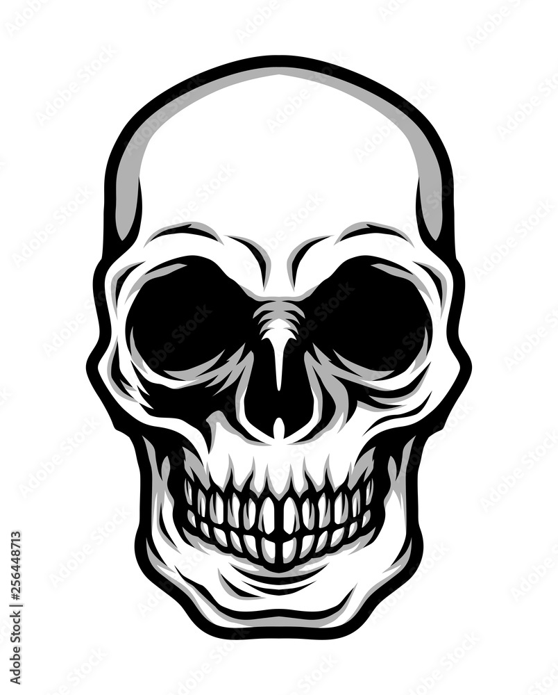 Fototapeta premium Detailed Classic Skull Head Black and White Illustration
