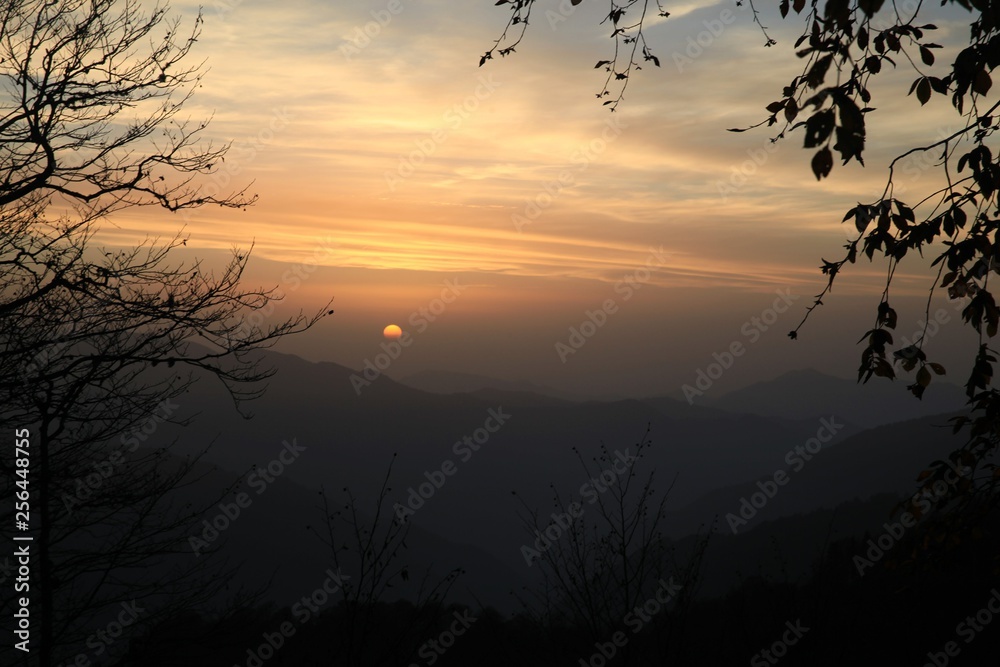 Obraz premium Green mountains in the fog. Seamless background. savsat/artvin/turkey