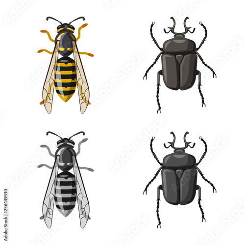 Vector design of insect and fly symbol. Collection of insect and element stock vector illustration.