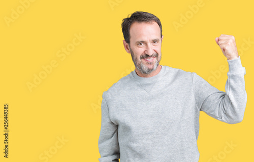 Handsome middle age senior man wearing a sweatshirt over isolated background Strong person showing arm muscle, confident and proud of power