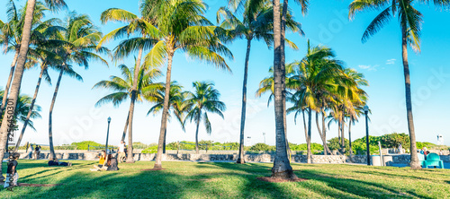 Lummus Park on a sunny day, Miami Beach, Florida - USA © jovannig
