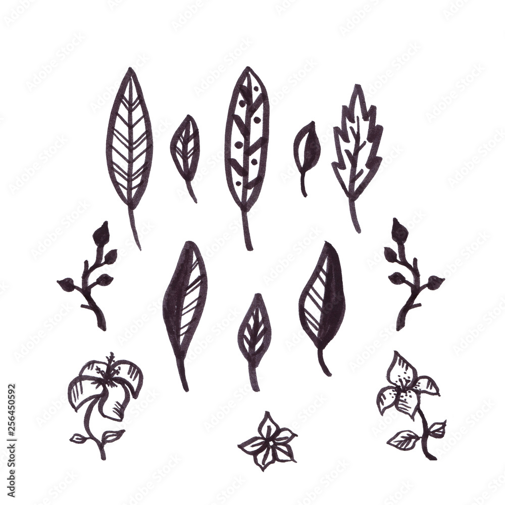 Hand drawn isolated black graphic leaves set