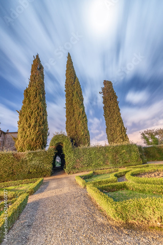Night view of gardens and cypresses under a cloudy sky