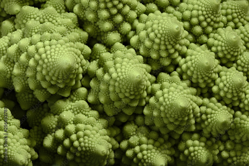 Romanesque cauliflower macro closeup Romanesque cauliflower macro closeup