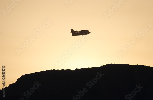canadair in action at dawn