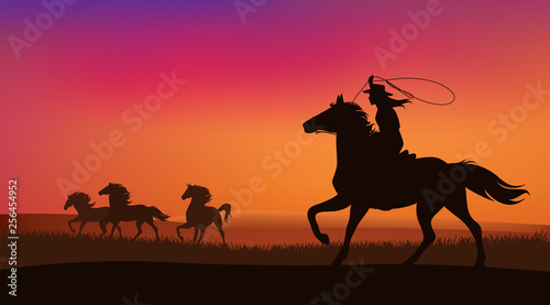 Leinwand Poster beautiful cowgirl chasing a herd of wild mustang horses at sunset - silhouette l