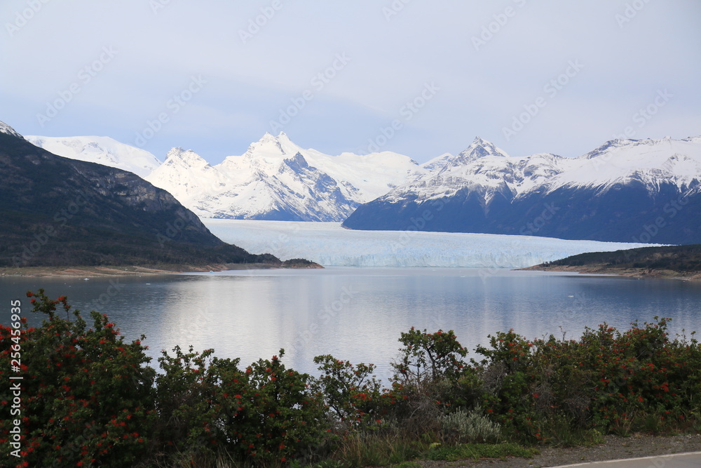 Fototapeta Perito Moreno Glacier in southwest Santa Cruz Province, Argentina.