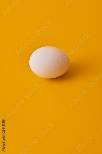 egg on yellow background