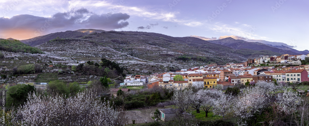 Valle del Jerte rodeado de cerezos en flor