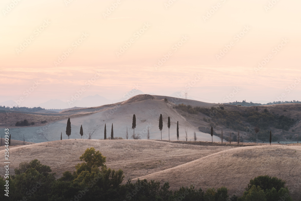 Tuscany trees and hills