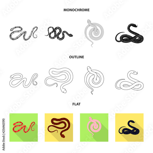 Vector illustration of mammal and danger icon. Set of mammal and medicine stock symbol for web.