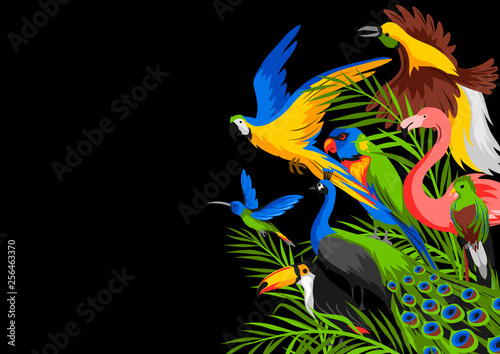 Background with tropical exotic birds.