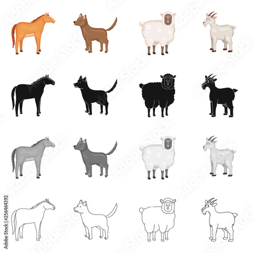 Vector illustration of breeding and kitchen  symbol. Collection of breeding and organic  stock symbol for web.