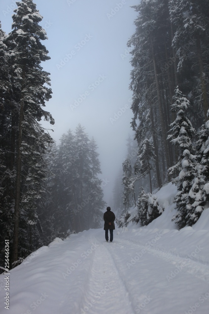 Man walking in the snowstorm in the forest. 
