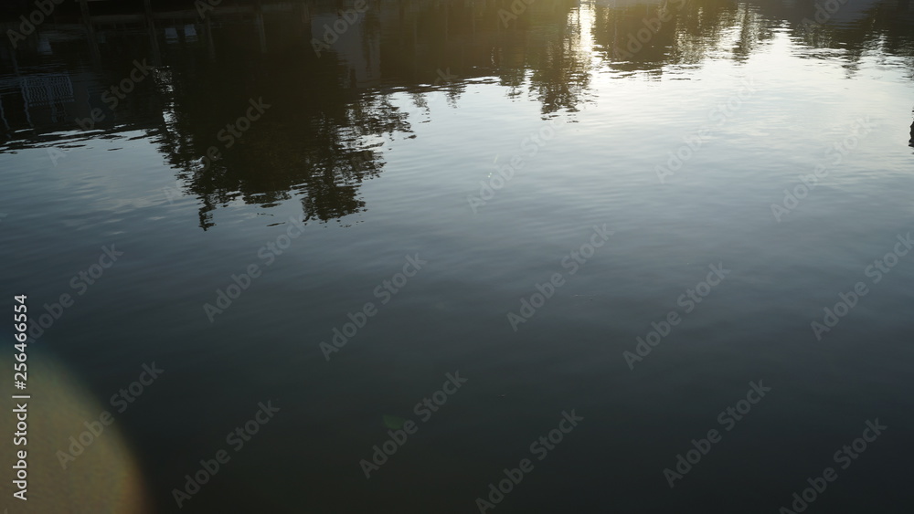 reflection reflection