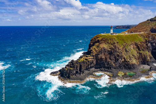Slika na platnu lighthouse in hawaii on rocks with coastline