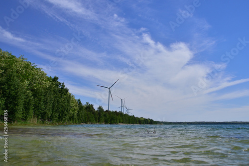 Scheibe-See im Oberlausitzer Seenland photo