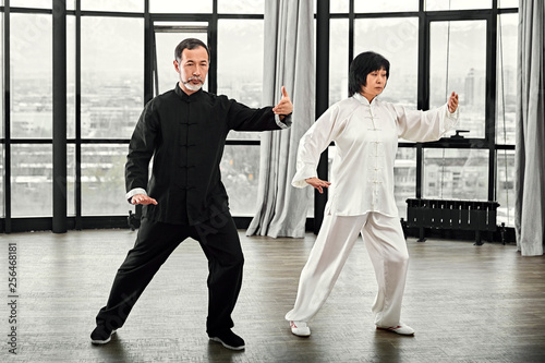 Couple of senior masters practicing qi qong taijiquan at studio. Breathing exercise and martial art moves, traditional chinese qi energy management gymnastics.