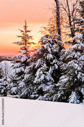 Cold winter morning sunrise