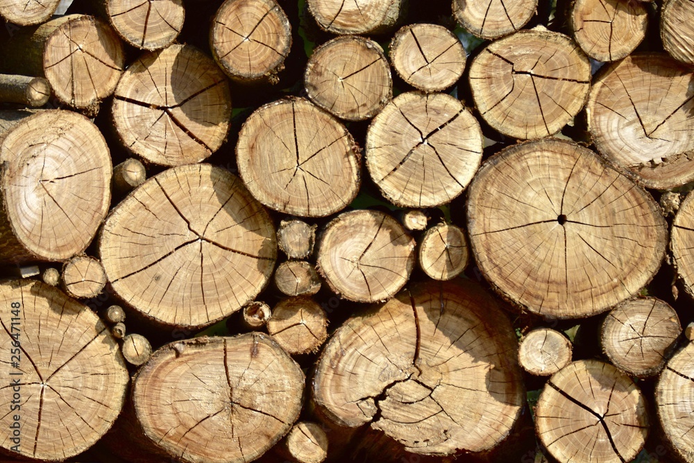 Fototapeta premium Background of dry chopped firewood logs stacked up on top of each other in a pile