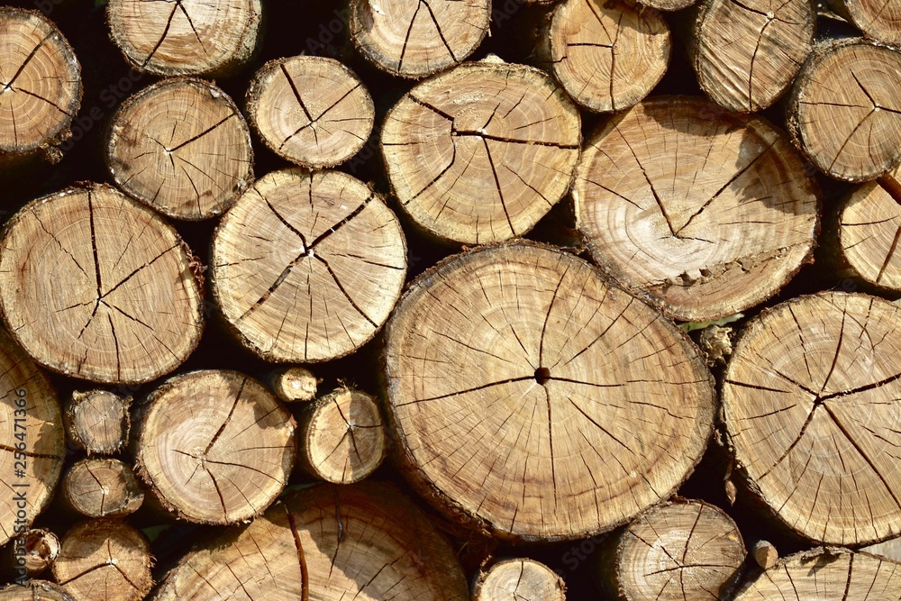 Naklejka premium Background of dry chopped firewood logs stacked up on top of each other in a pile