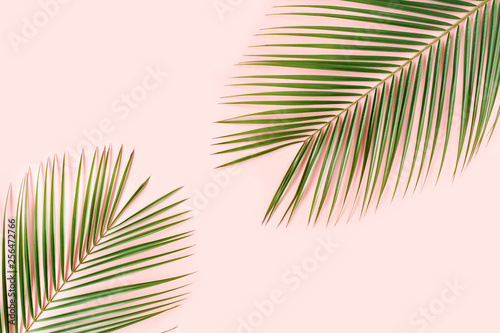 Tropical palm leaves on pink background. Flat lay, top view minimal concept.