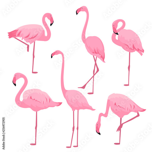 A set of pink flamingos in various poses