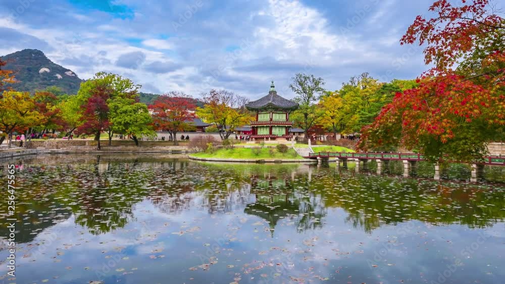 Autumn of Gyeongbokgung Palace in Seoul City,South Korea.Timelapse 4k Autumn of Gyeongbokgung Palace in Seoul City,South Korea.Timelapse 4k