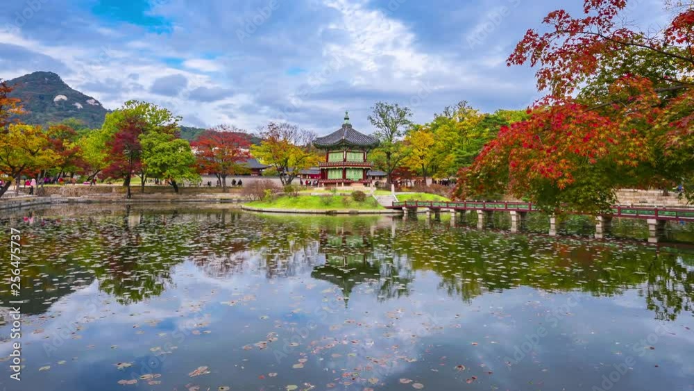 Autumn of Gyeongbokgung Palace in Seoul City,South Korea.Timelapse 4k Autumn of Gyeongbokgung Palace in Seoul City,South Korea.Timelapse 4k