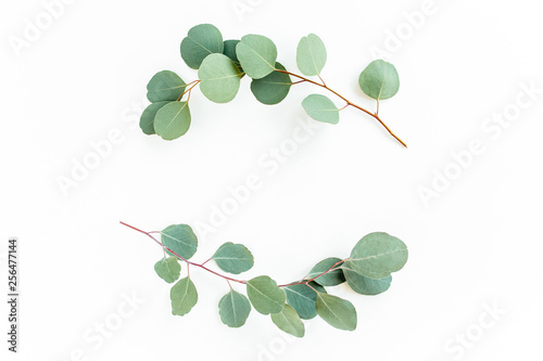 Wreath frame made of branches eucalyptus and leaves isolated on white background. lay flat, top view photo