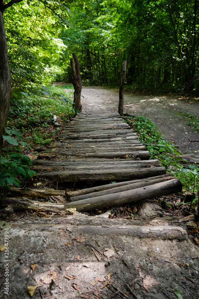 Wooden rotten footbridge made of logs in green summer forest Wooden rotten footbridge made of logs in green summer forest