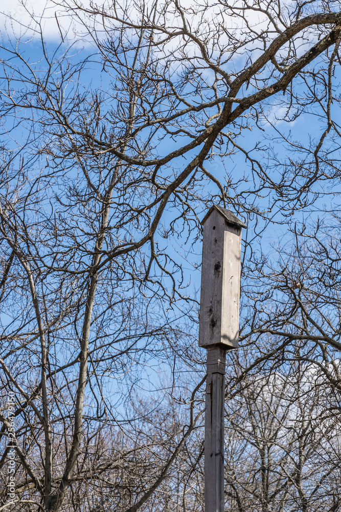 tall skinny natural wood birdhouse on a post in the woods with bare branches and blue sky tall skinny natural wood birdhouse on a post in the woods with bare branches and blue sky