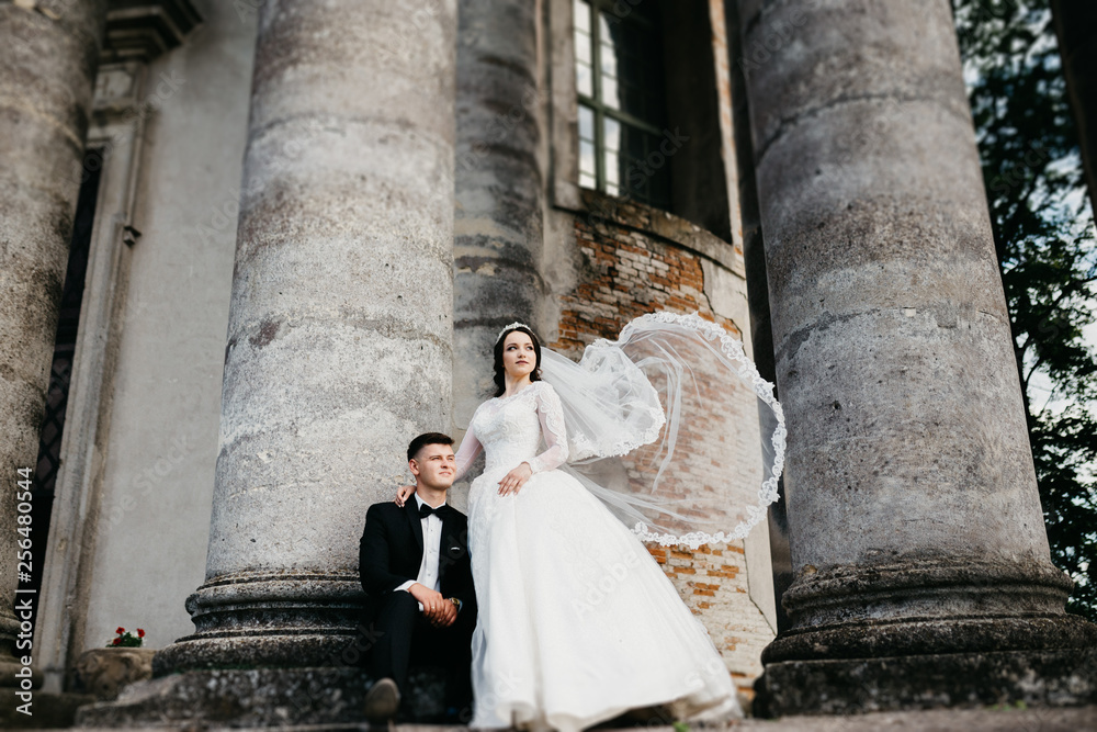 Amazing picture of a wedding couple near the old castle