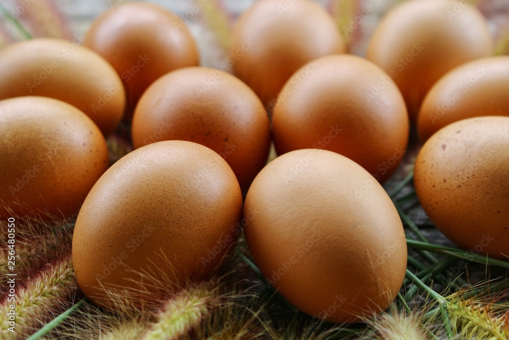 animal,background,breakfast,brown,chicken,closeup,cooking,diet,easter,eat,egg,farm,food,fragile,fresh,group,healthy,ingredient,isolated,natural,nature,organic,protein,raw,shell,uncooked,white,yellow animal,background,breakfast,brown,chicken,closeup,cooking,diet,easter,eat,egg,farm,food,fragile,fresh,group,healthy,ingredient,isolated,natural,nature,organic,protein,raw,shell,uncooked,white,yellow
