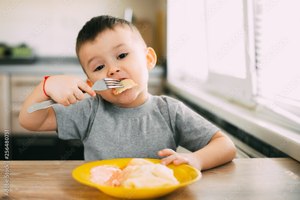 Hungry child eats Ukrainian dumplings in the kitchen, sitting on a chair in a gray t-shirt Hungry child eats Ukrainian dumplings in the kitchen, sitting on a chair in a gray t-shirt