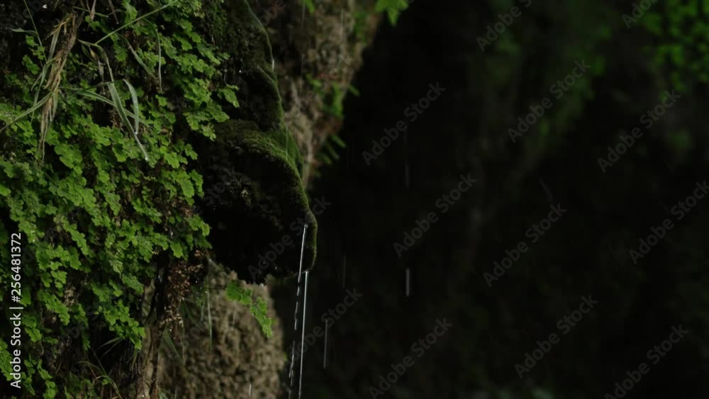 The slope of the rock, covered with green grass and moss, through which water flows and splashes in different directions from hitting the ledge The slope of the rock, covered with green grass and moss, through which water flows and splashes in different directions from hitting the ledge