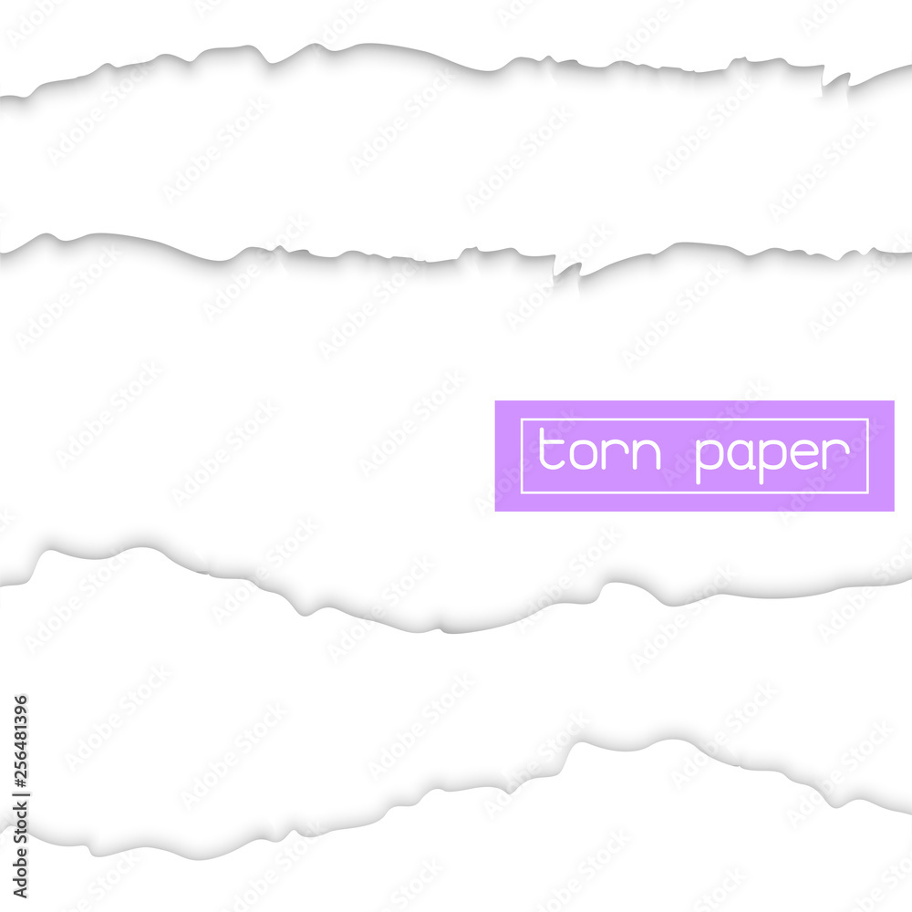 vector torn paper with ripped edge Template mockup vector torn paper with ripped edge Template mockup